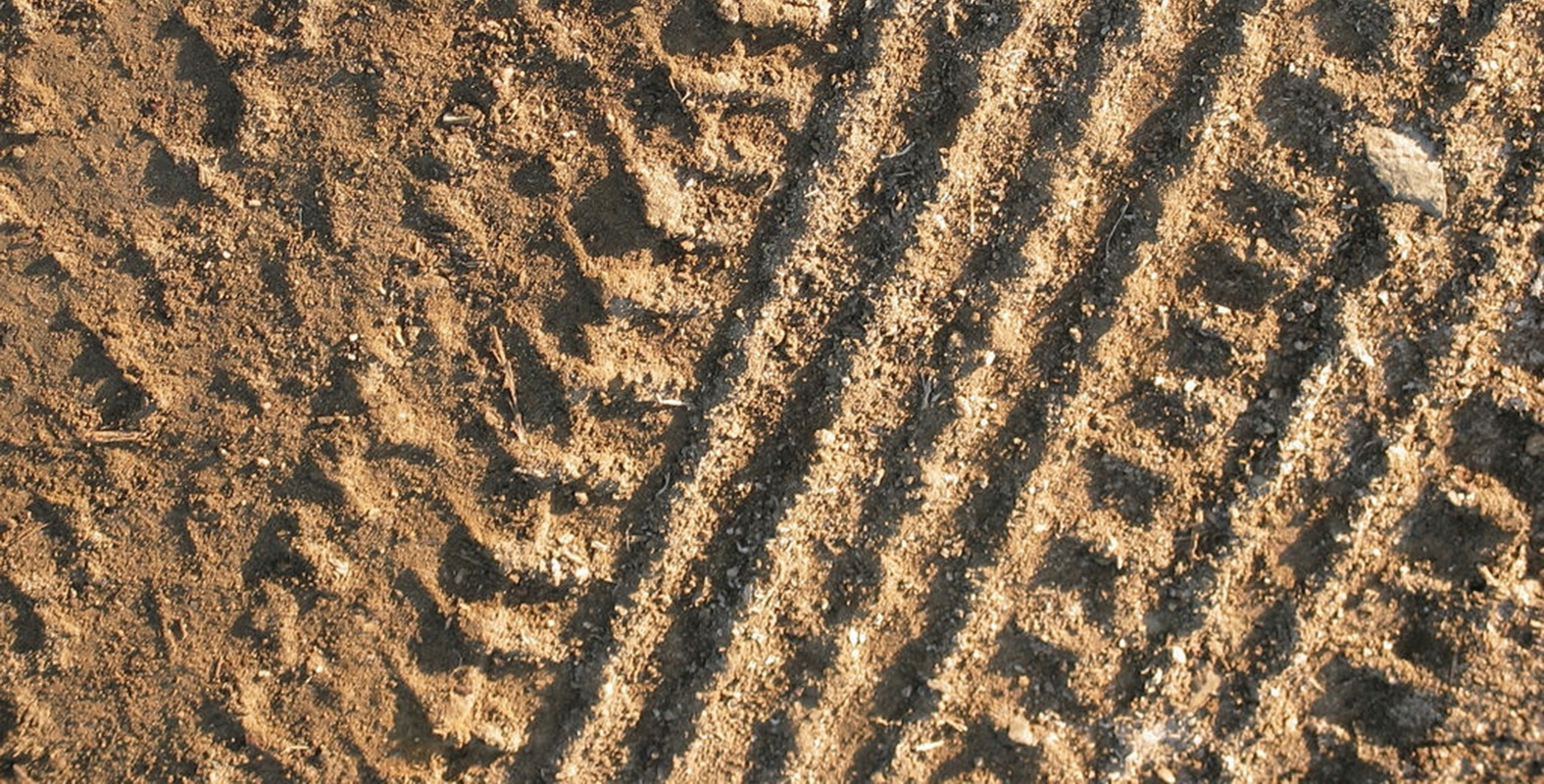Page cover